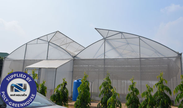 Nhà màng trồng rau, hoa